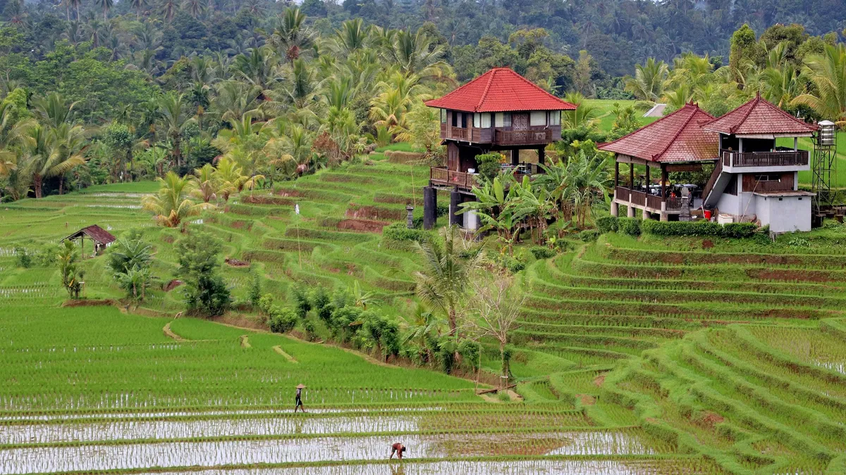 Terraced rice paddies with traditional wooden pavilions overlooking a lush green valley in Bali
